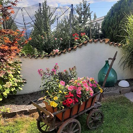 Appartamento Hirschenhof Laives Esterno foto