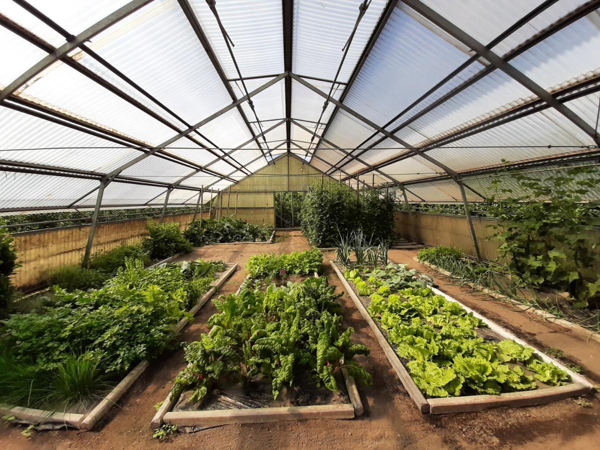 Appartamento Hirschenhof Laives Esterno foto