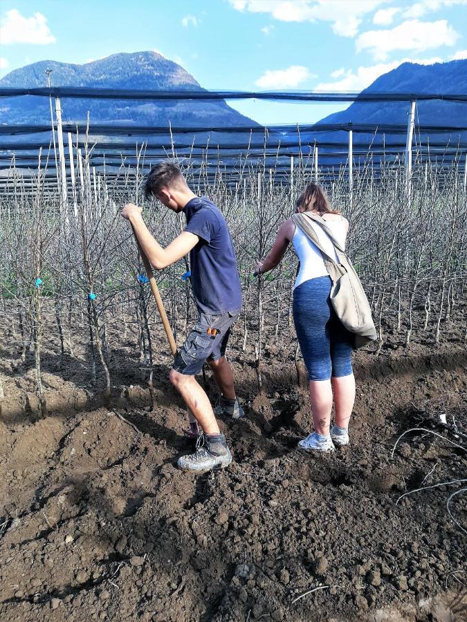 Appartamento Hirschenhof Laives Esterno foto